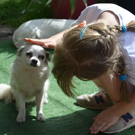 U Piotra Kwatera prywatna