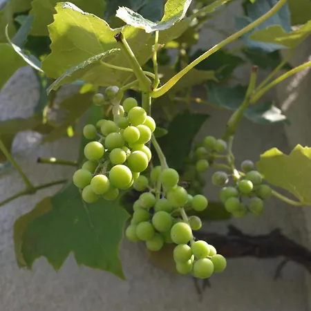 U Piotra Kwatera prywatna *