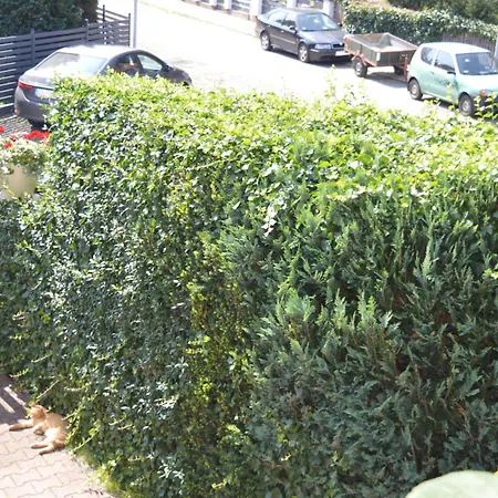 U Piotra Kwatera prywatna Ustka